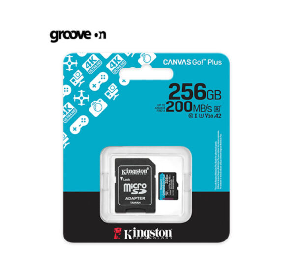 Kingston Canvas Go! Micro SD Card 256GB